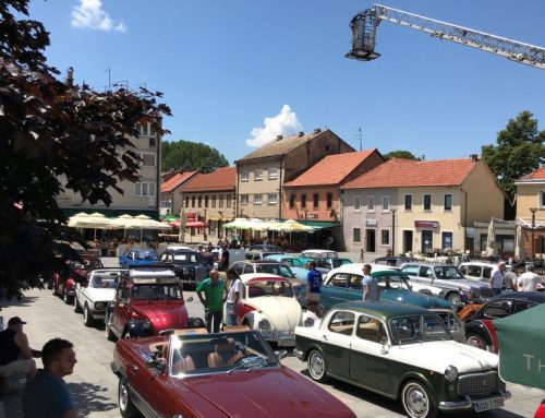 Skup u Livnu